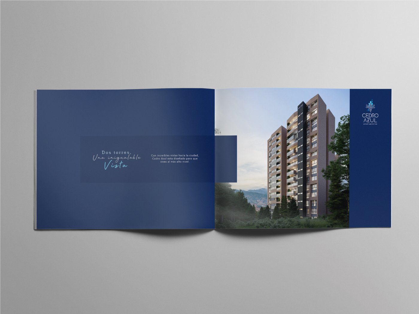 ADVERTISING REAL ESTATE CEDRO AZUL APARTMENTS ADVERTISING REAL ESTATE CEDRO AZUL APARTMENTS
